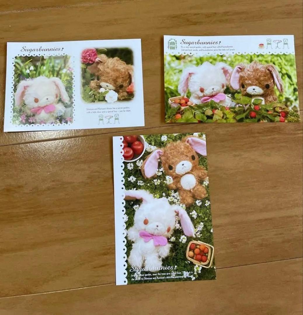激レア♡シュガーバニーズ　ハガキ３枚セット　☆非売品☆