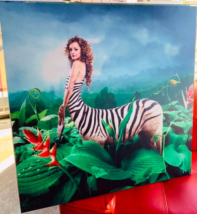 Okay 馬　しまうま　絵画