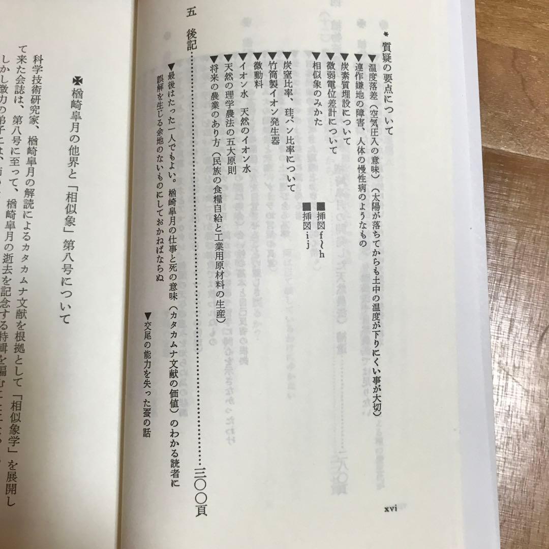 相似象学会誌　相似象　第八号