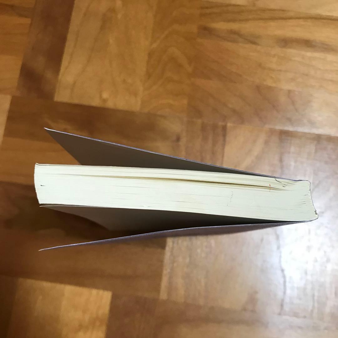 相似象学会誌　相似象　第八号