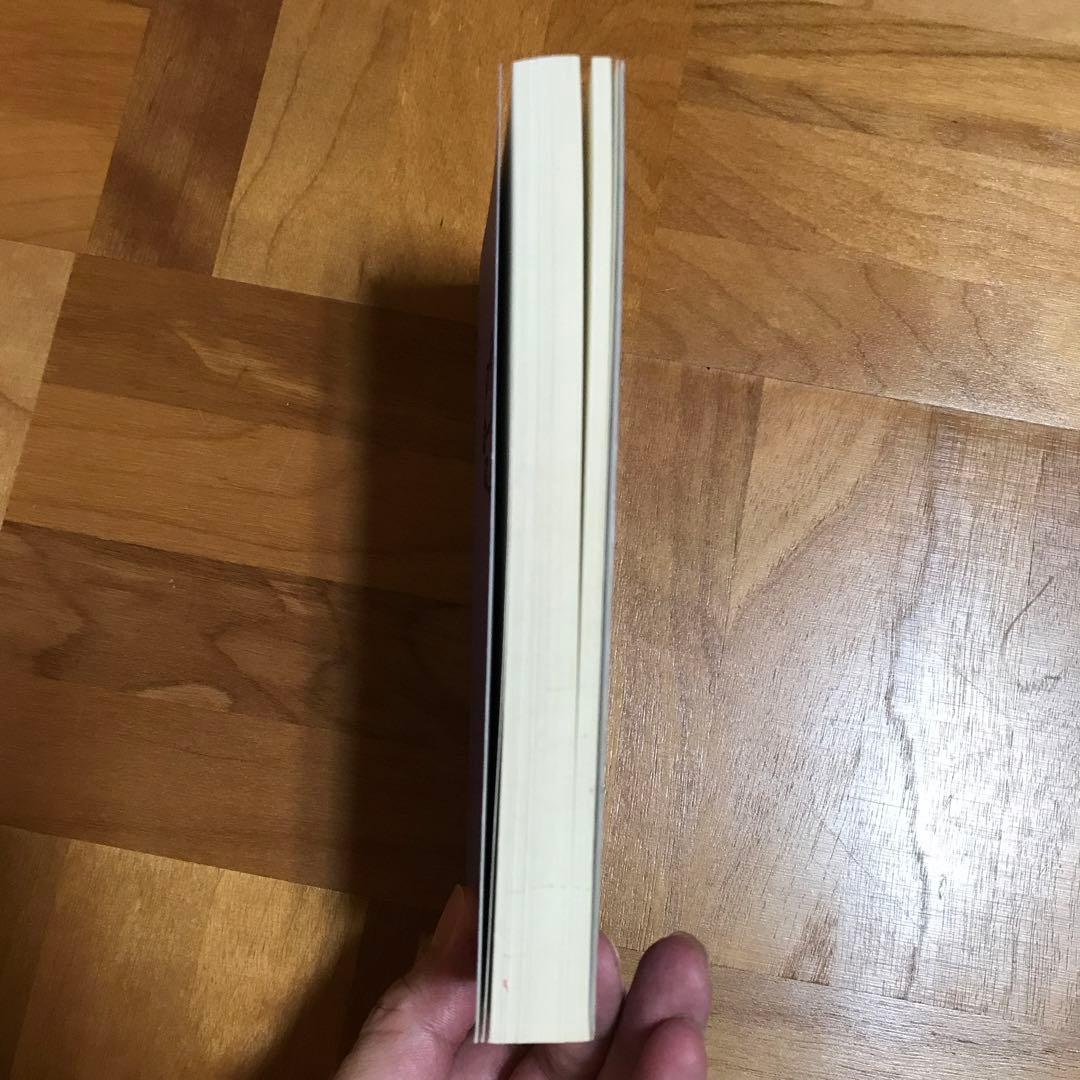 相似象学会誌　相似象　第八号