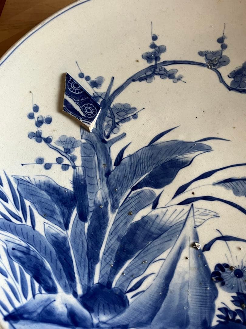 白地手描大皿 植物柄