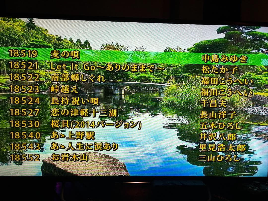 カラオケ一番 カラオケ１番 YK-3008 チップ カートリッジ 100曲