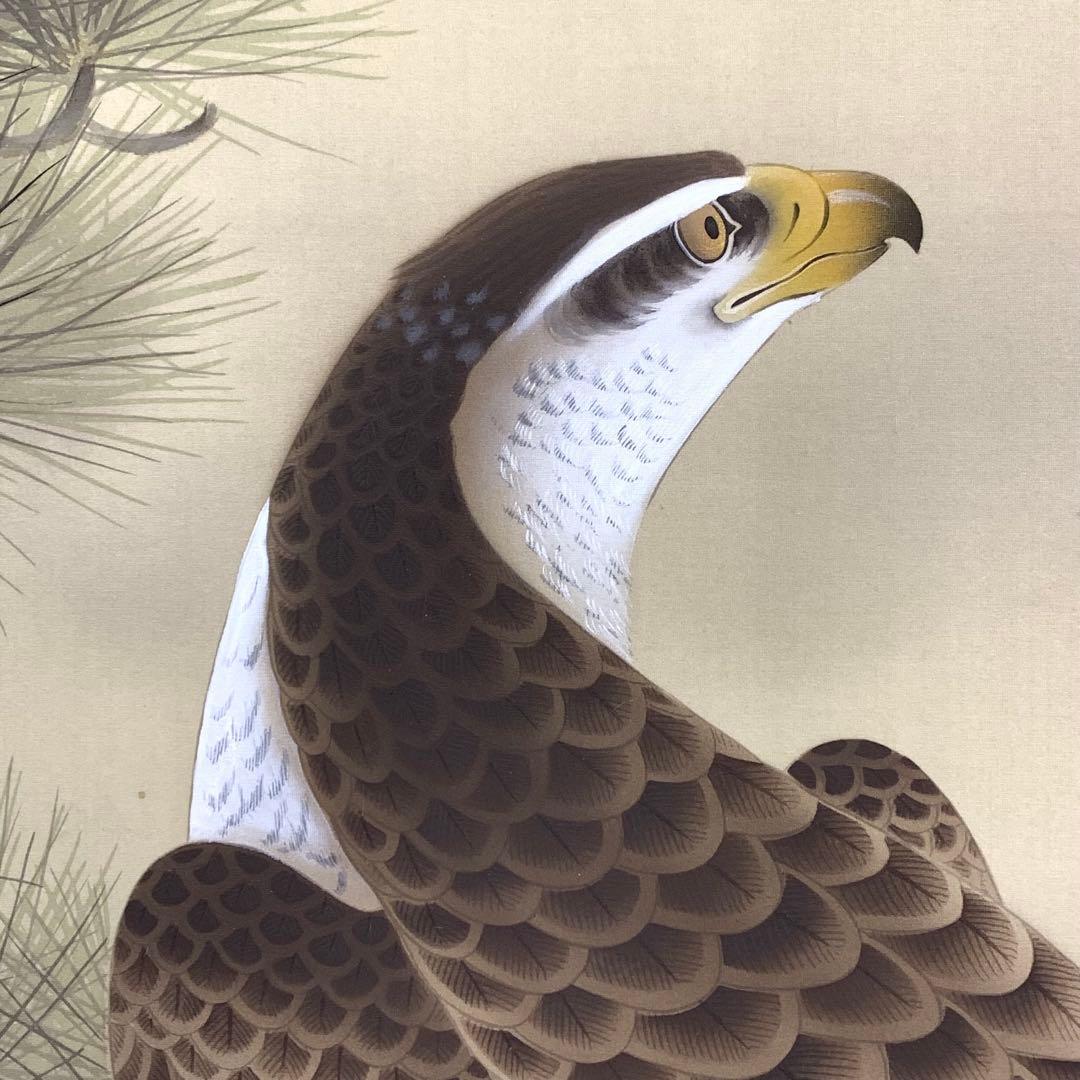 掛軸 斉藤栄昌 松に鷹 共箱 二重箱 花鳥図 無病長寿 繁栄 縁起物 E-6