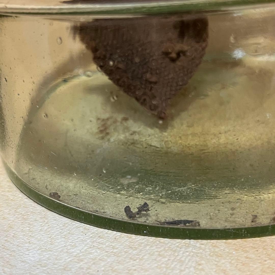 骨董 明治時代 石油ランプ　洋燈