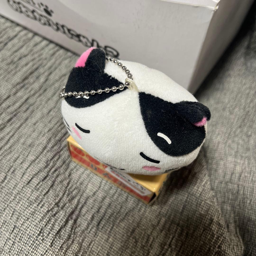 新品❤️飼ってください　おねがいにゃんこ　猫　ぬいぐるみ　ハチワレ　レトロ　希少
