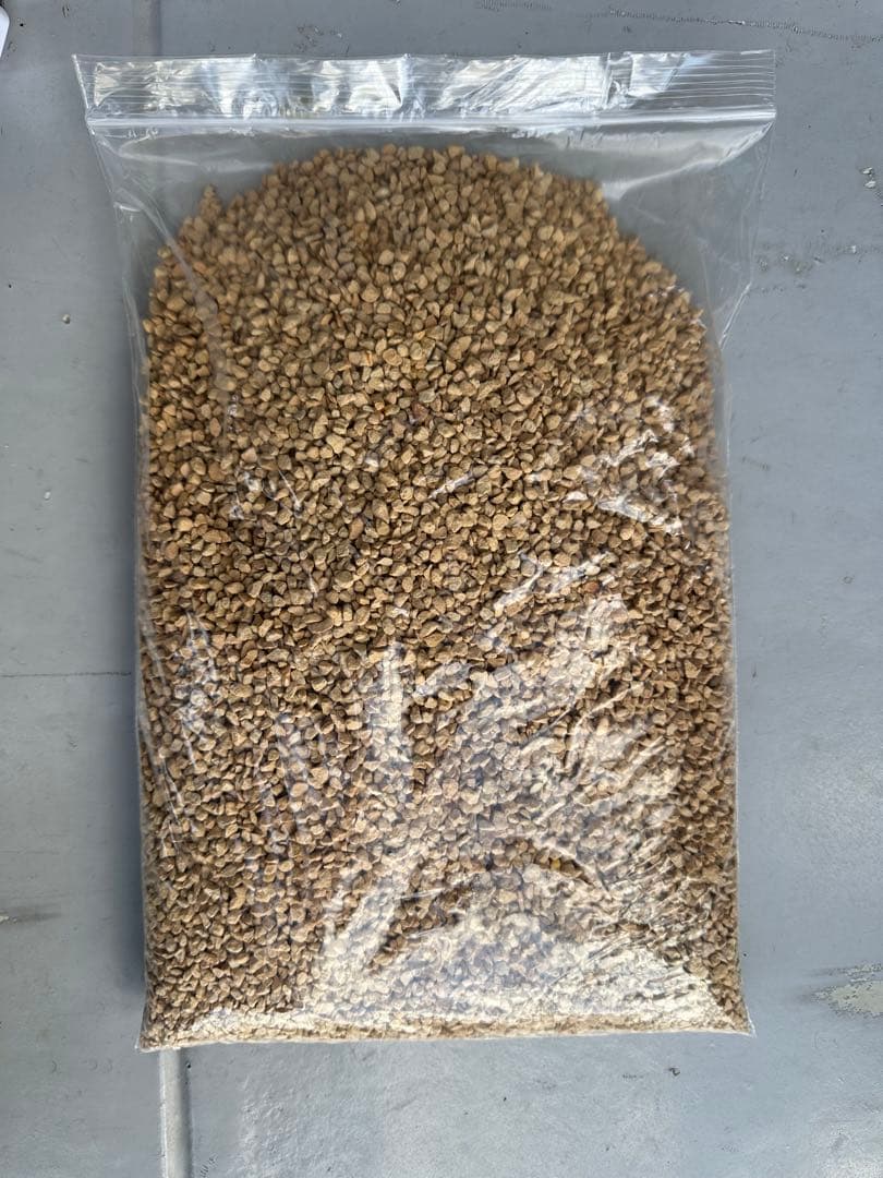 小型ガラス水槽 ヒーター・フィルター・LEDライト付き