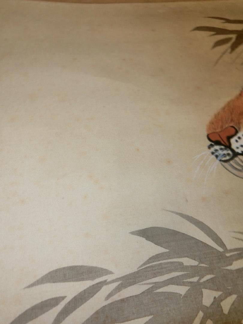 虎 日本画 桂堂画 掛け軸