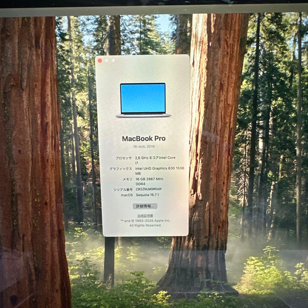 MacBook Pro 2019年　16インチ　SSD512GB メモリ16GB