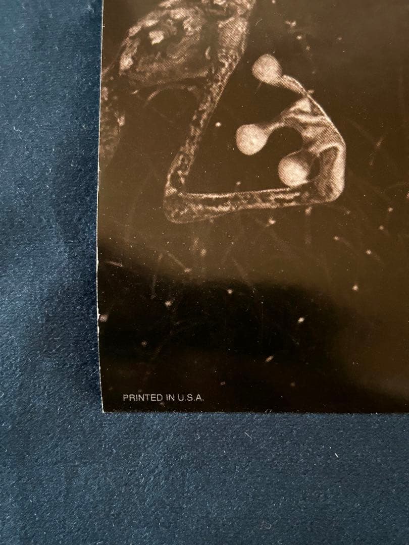 フランケンウィニー　USオリジナル映画ポスター