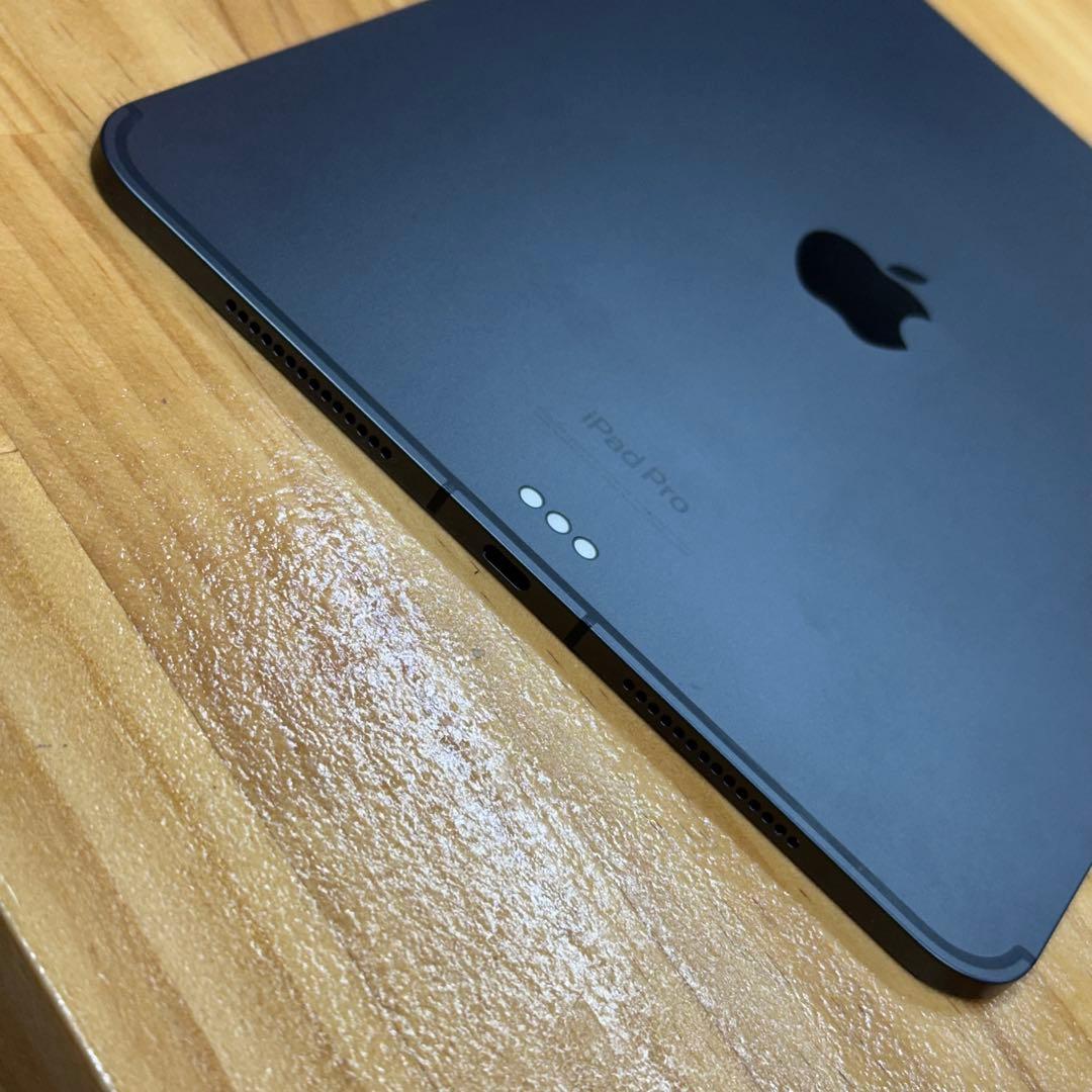 iPad Pro 11 M4 第5世代 Wi-Fi+Cellular