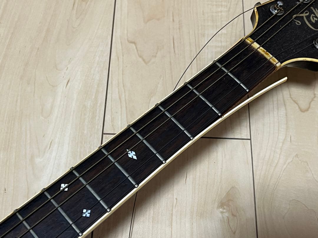 Takamine NPT-110 タカミネ アコースティックギター エレアコ