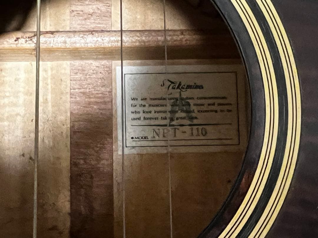 Takamine NPT-110 タカミネ アコースティックギター エレアコ