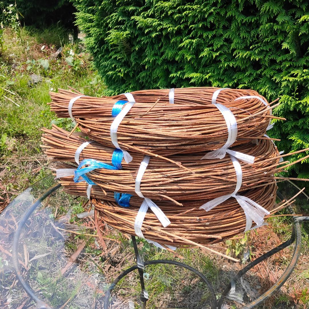 (委託品)青森県岩木山採取　あけび蔓　150cm～　3kg