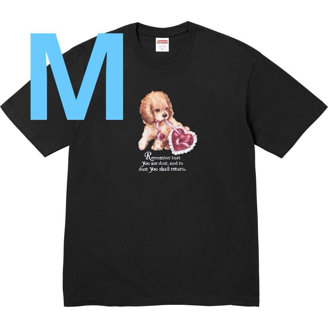 アイドル Supreme Dust Tee \