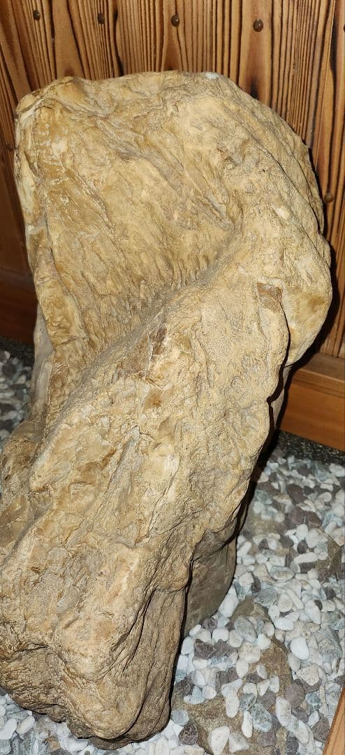 珪化木 木化石 パワーストーン オブジェ 置物 化石 大型 希少