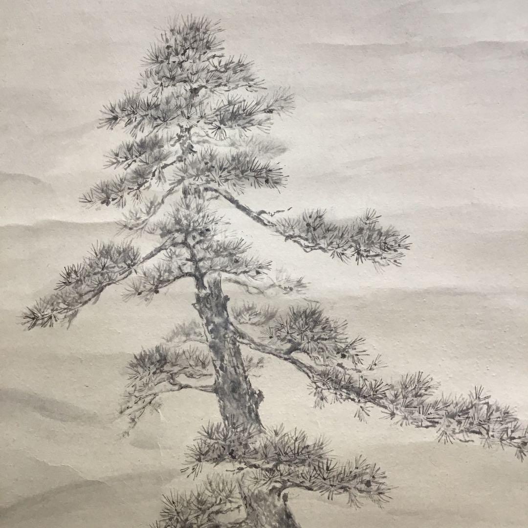 K茶道具　掛軸　「清旦松籟」　古楊作　共箱　S1006KJ