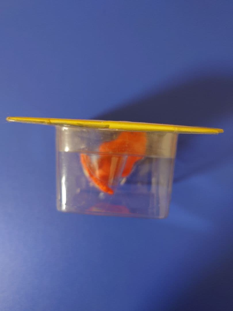 モンコレ　マグマッグ