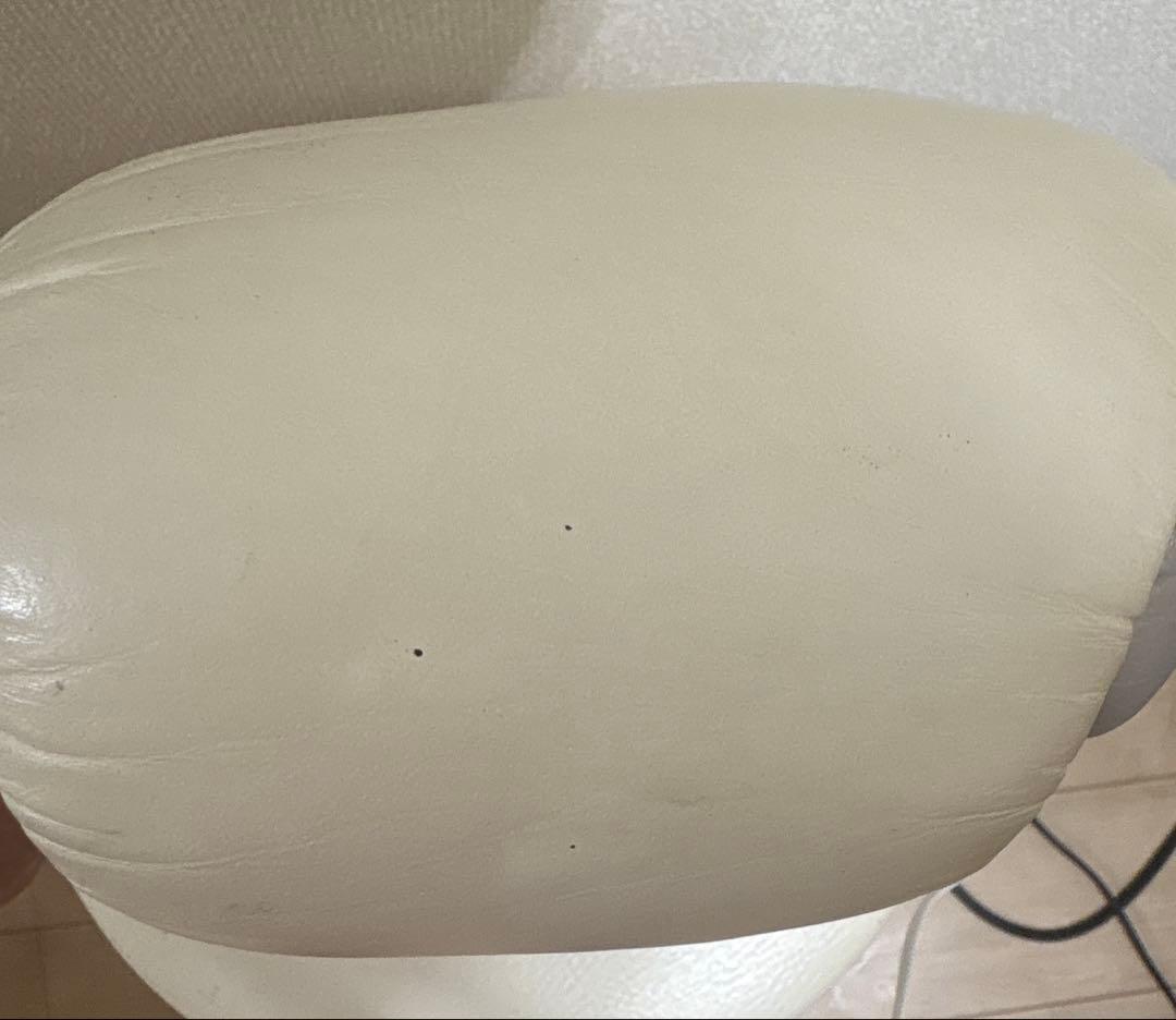 【ライス】EVERLAST ボクシンググローブ ホワイト