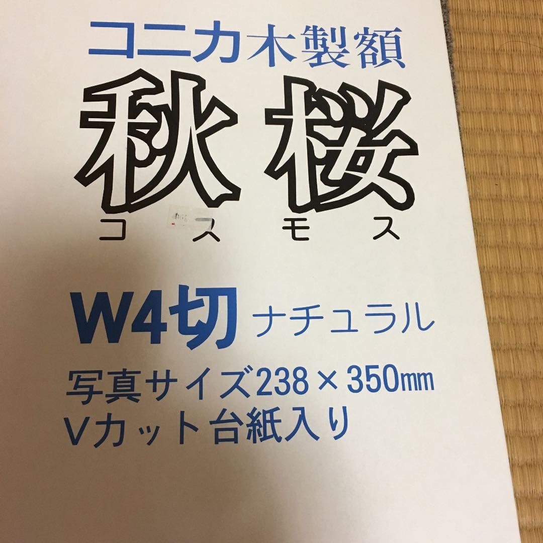 イラスト作品1点もの 顔料インク出力