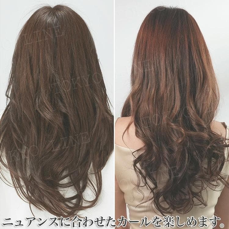 ヘアドライヤー&カーラー F21219