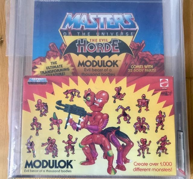 特撮 MOTU Masters of the Universe He-Man AFA
