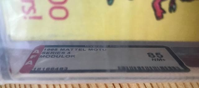 特撮 MOTU Masters of the Universe He-Man AFA