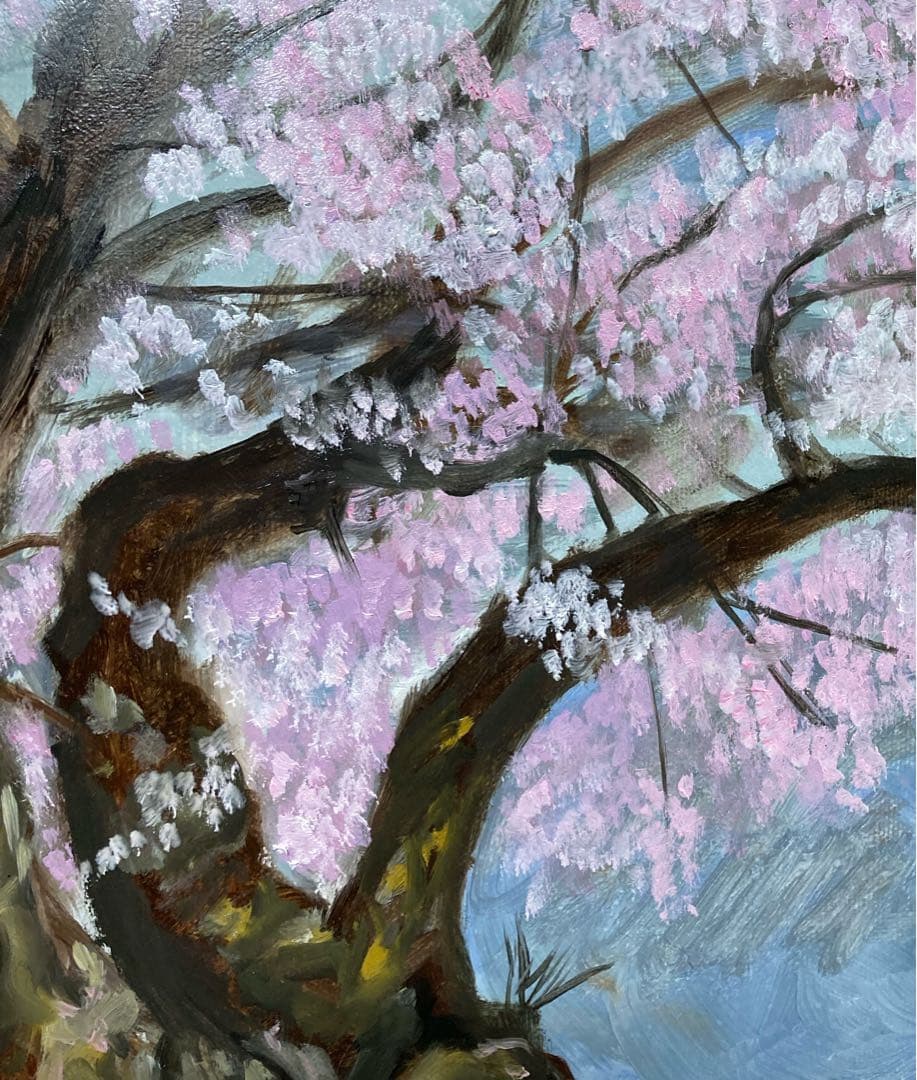 油彩画　「　さくらとこぼれ陽　」　原画　F6号