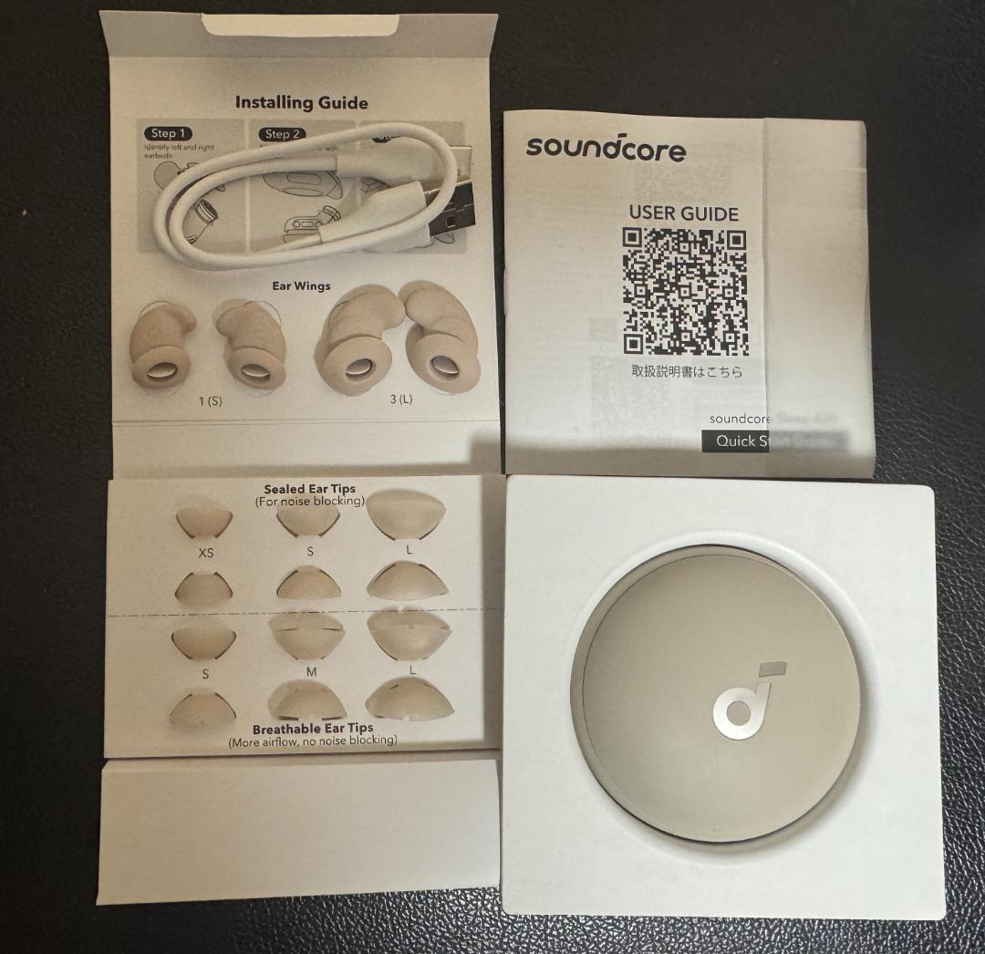 イヤホン Anker Soundcore sleep A20