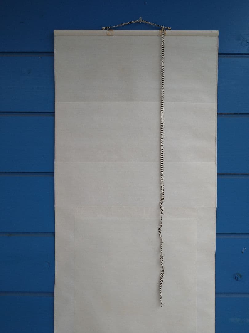 龍の掛け軸À11、竹内栖鳳筆、二龍争珠図、手彫手摺木版画、定価25万円