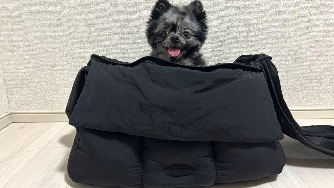 小型犬用スリングキャリー【DOUBLE COMMA】CLOUD BAG 黒 M