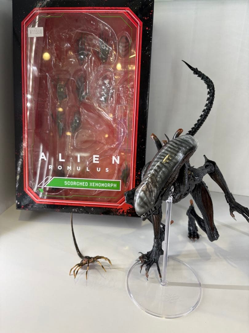 ネカ　エイリアン　ロムルス　スコーチドゼノモーフ　豆魚雷