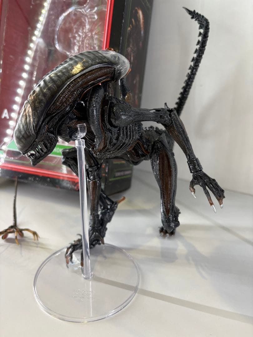 ネカ　エイリアン　ロムルス　スコーチドゼノモーフ　豆魚雷