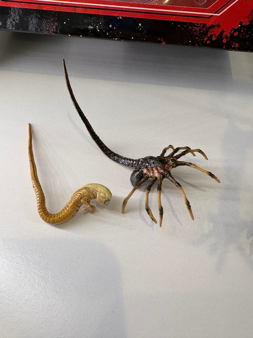 ネカ　エイリアン　ロムルス　スコーチドゼノモーフ　豆魚雷