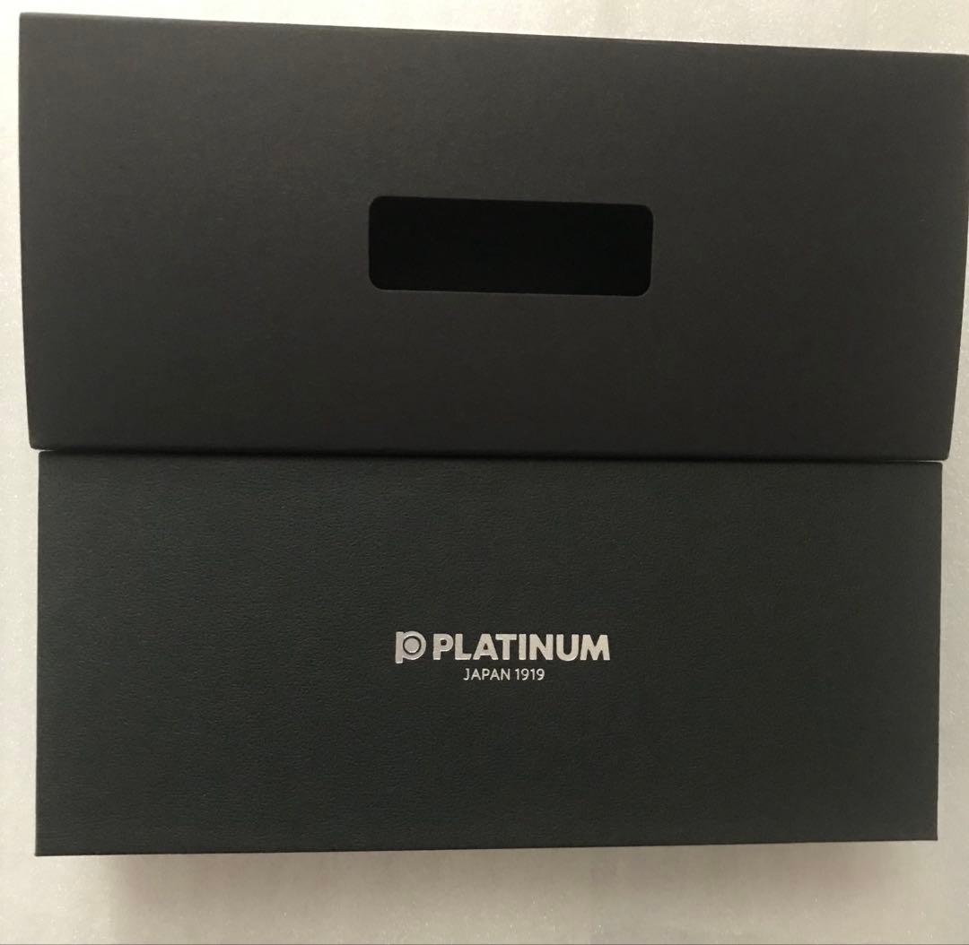 Platinum プラチナ万年筆 銀無垢 PTS-50000 新品