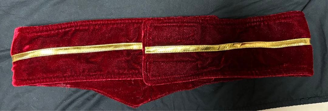 【レア】 仮面ライダー リバイス デッドマンズ アギレラ コスプレ 衣装