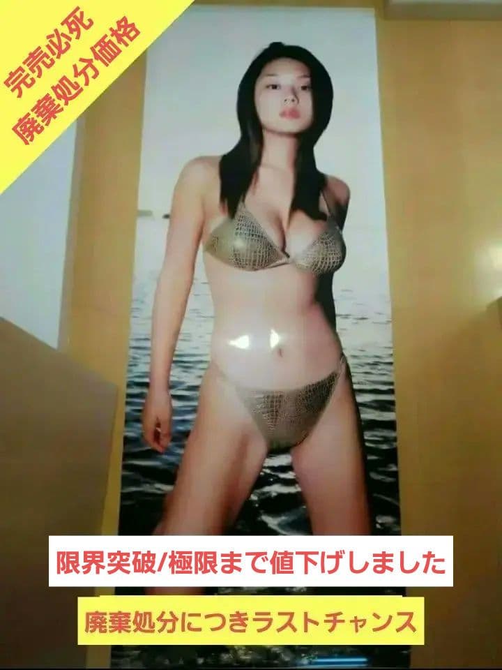 【限界突破極限迄値下げしました/完売必死】　小池栄子　②　等身大ポスター　未使用