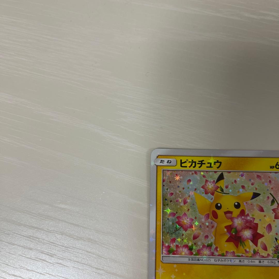 ポケモンカード　ピカチュウ　プロモカード　224/SM-P みんなでいわう