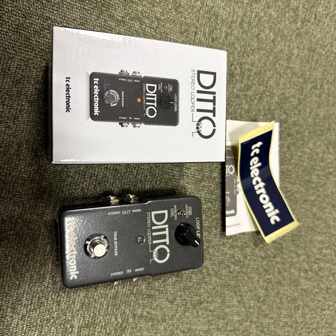 ギター tc electronic DITTO STUDIO LOOPER