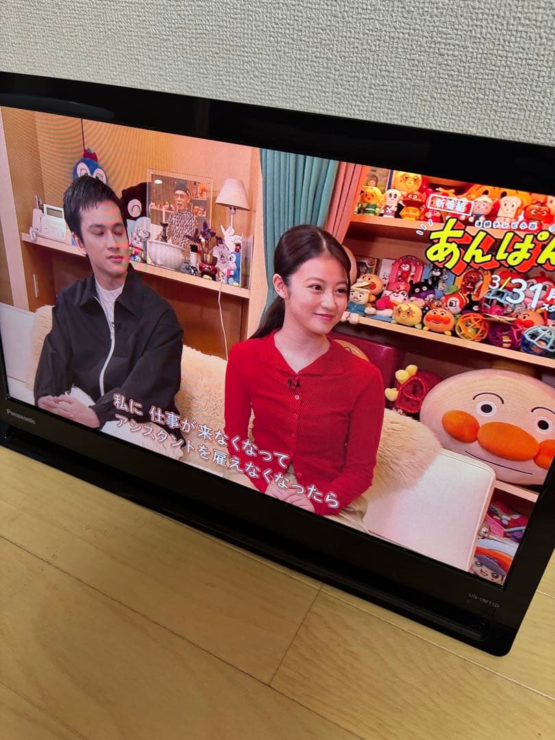 Panasonic プライベートビエラ ポータブルテレビ UN-19F11D