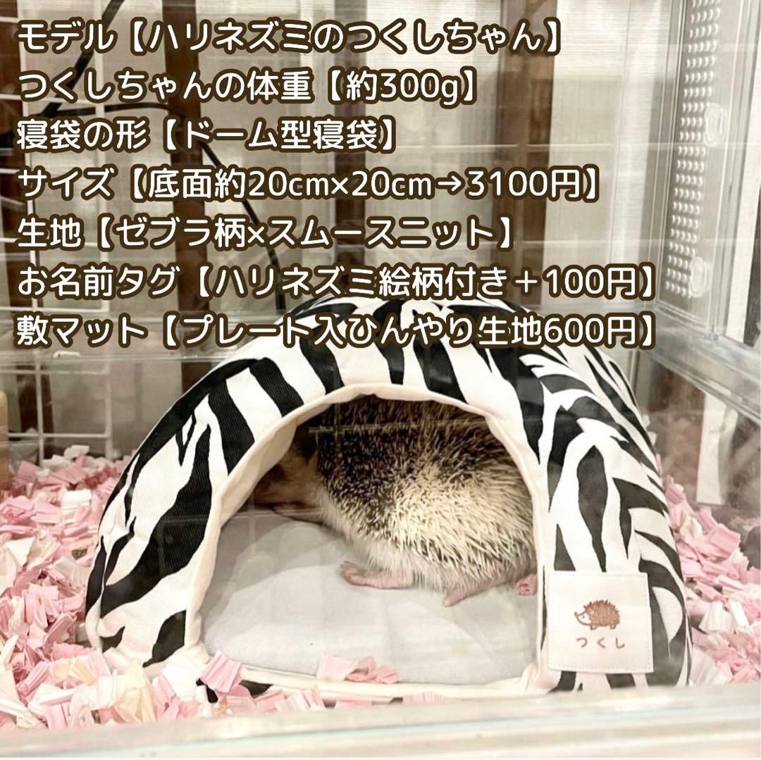 〜サンプル画像〜