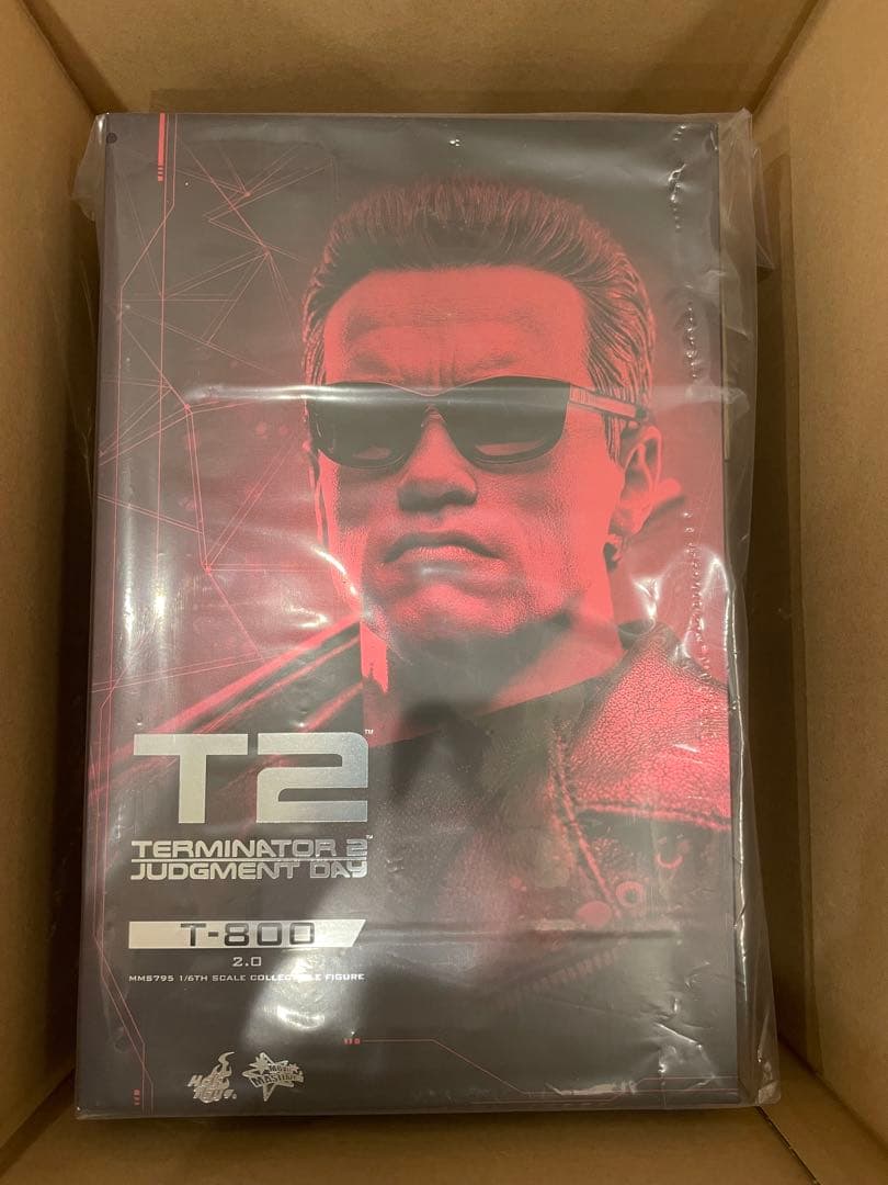 【新品未開封】ホットトイズ ターミネーター2 1/6 T-800 (2.0版)