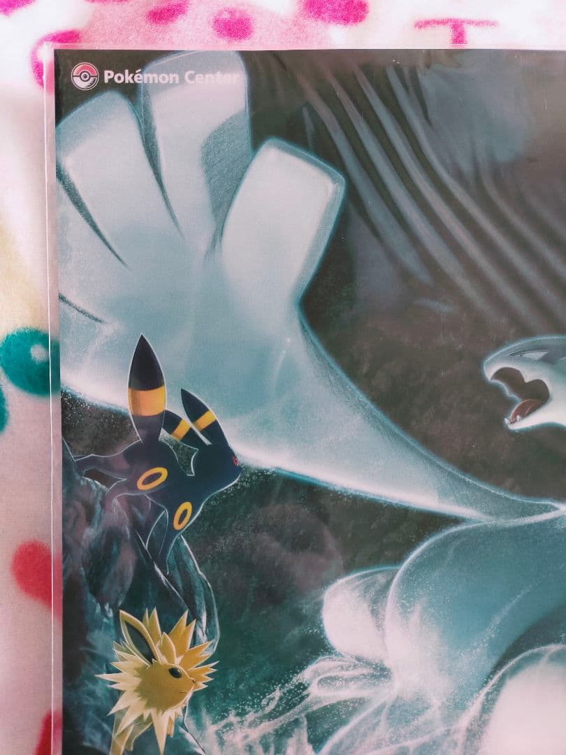 ポケモン ルギア A4 クリアファイル ブラッキー エーフィ サンダース