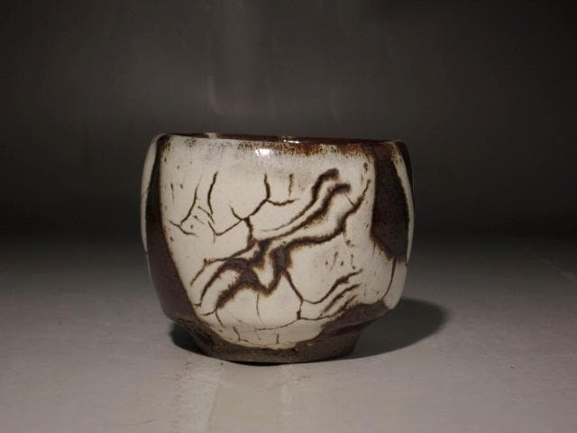 人間国宝　清水卯一　蓬菜盃　美しい景色 r449