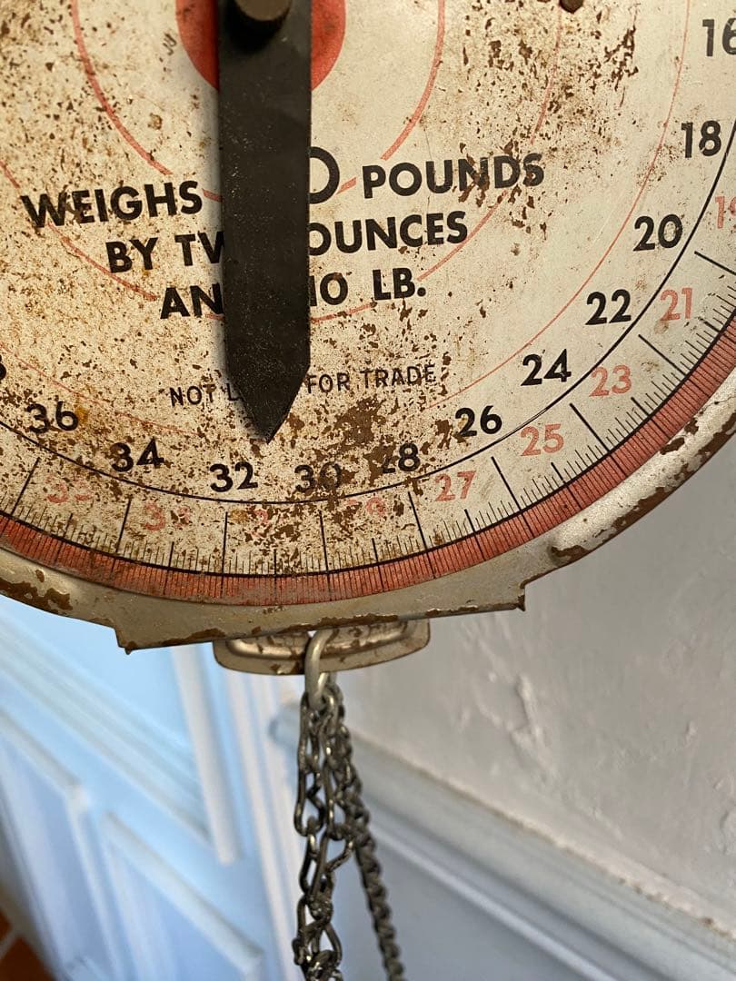 ヴィンテージ アメリカンファミリースケール　レア