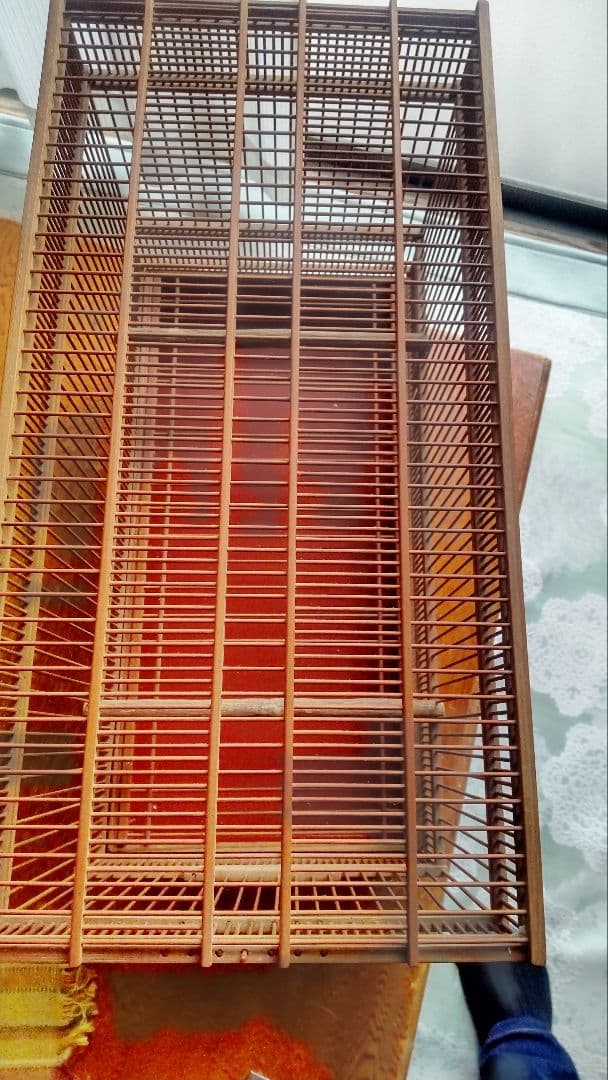 メジロ、ウグイス和鳥籠