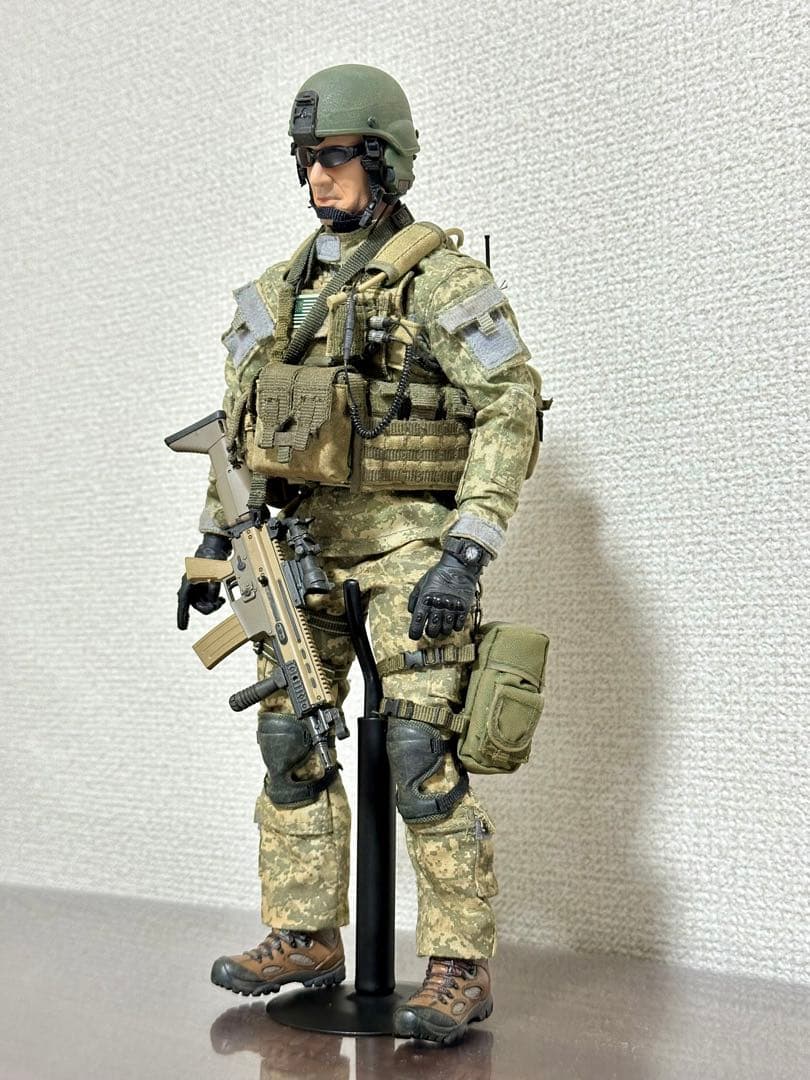 1/6 ミリタリー　カスタム　フィギュア　hottoys