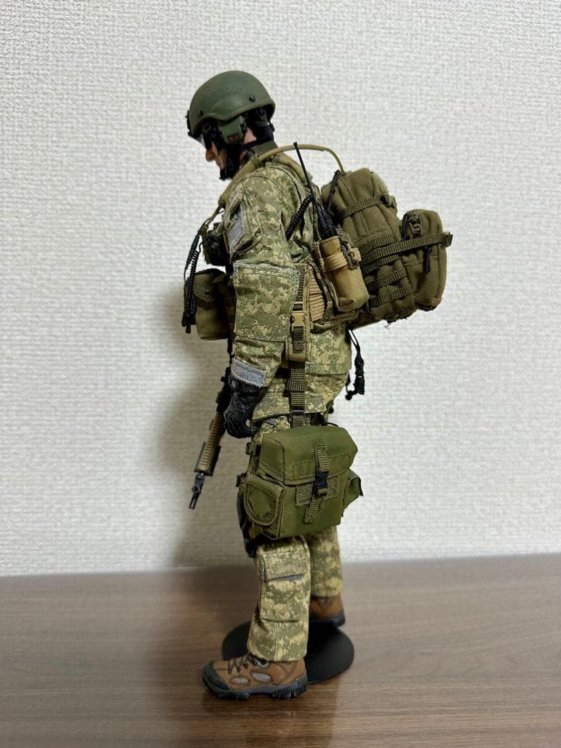 1/6 ミリタリー　カスタム　フィギュア　hottoys