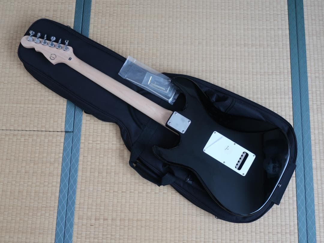 ★人気 G&L TRIBUTE SERIES LEGACY BLACK ケース付