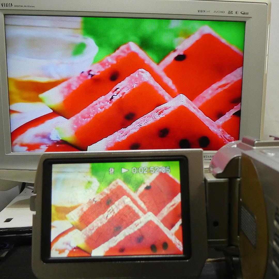 動作品ソニー DCR-TRV10 Mini DVビデオカメラDVDダビングに最適